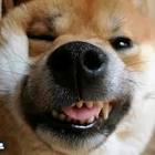 Profile Picture of   Claudia Borrelli... (@claudiaborrelli1) on Tiktok