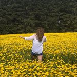 Profile Picture of Amelia ♪ (@ameliacalvert.13) on Instagram