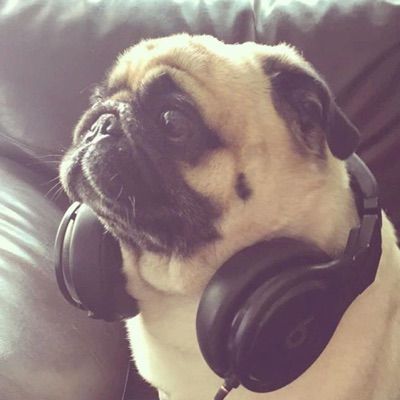 Profile Picture of Andrewmilano180 (@andrewmilano180) on Tiktok