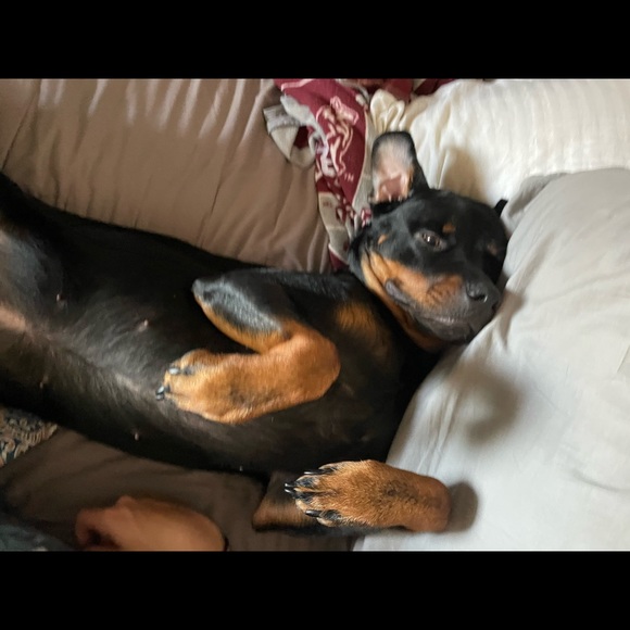 Profile Picture of Alex Roussos (@aroussos) on Poshmark