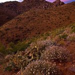 Christian McNally - Instagram Profile Picture of Christian McNally (@christianmcnally) on Instagram