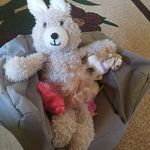 Profile Picture of Tamara Wiedemann (@tamarawiedemann) on Instagram