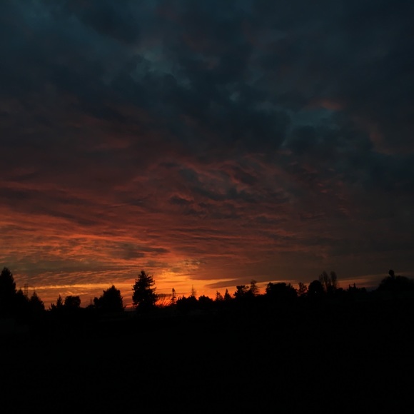 Profile Picture of Samantha Acevedo (@sammyv16) on Poshmark