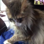 Profile Picture of Nancy Sayers (@5nancy3) on Instagram