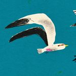 Profile Picture of Thomas White (@thomaswhitedraws) on Instagram