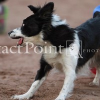 Profile Picture of Kathy Mocharnuk (@kathy-mocharnuk) on Quora