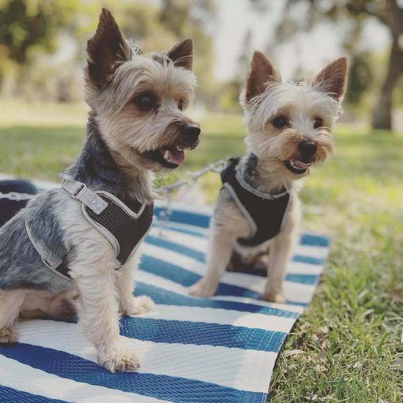 Profile Picture of Richard Lee (@richielee916) on Poshmark