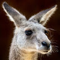 Profile Picture of Andrew Mcloughlin (@andrew-mcloughlin-33) on Quora