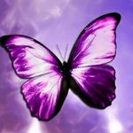 Profile Picture of The Butterfly Effect | M.Dunne (@the_butterflie_effect) on Instagram