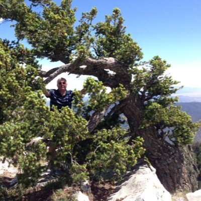 Profile Picture of James Fattic (@gymphattick) on Twitter