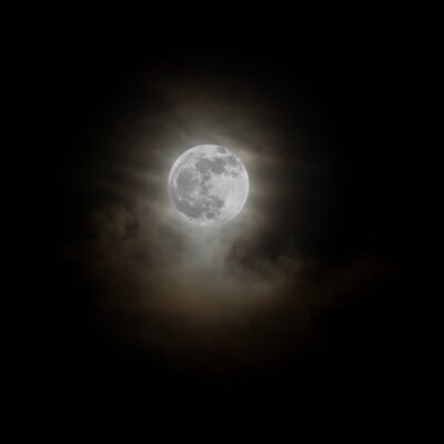 Profile Picture of Mary Nash-Pyott (@mnashp) on Twitter