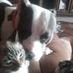 Profile Picture of Eugene Tucker (@eugenetucker43) on Instagram