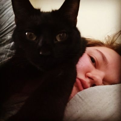 Profile Picture of Katie Chew (@CeruSaurus) on Twitter