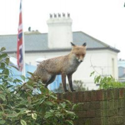 Profile Picture of Clare Wiseman (@ClareLassie) on Twitter