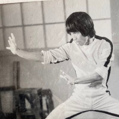 Profile Picture of The Bruceploitation Bible (@BruceLeeClones) on Twitter