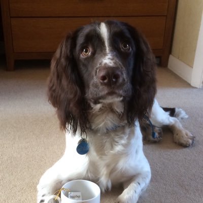 Profile Picture of Claire Hunter (@meclairey) on Twitter