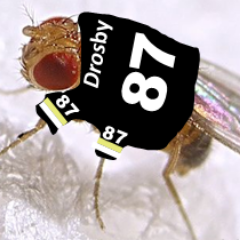 Profile Picture of Joseph C Ayoob (@Dr_booyA) on Twitter