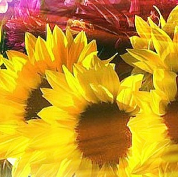 Profile Picture of Debbie Mcclish (@dmcclish) on Poshmark