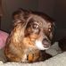 Profile Picture of Bruce Nierad (@bruce.nierad.3) on Facebook