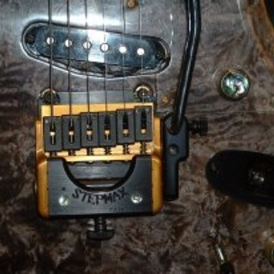 Profile Picture of Keith Pate (StepMax) (@StepMaxtremolo) on Twitter