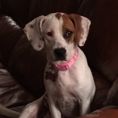 Shawn Timberlake - Twitter Profile Picture of Shawn Timberlake (@Timberlake1S) on Twitter