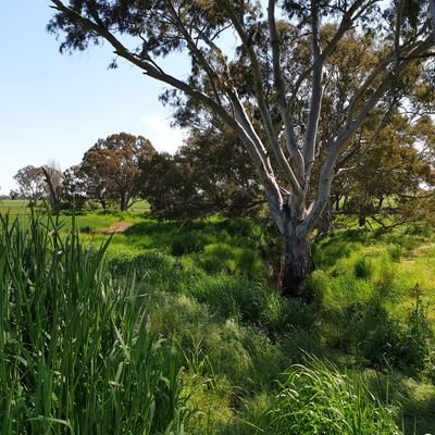 Profile Picture of Andrew Kotzur (@AndrewKotzur) on Twitter