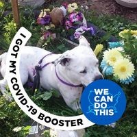 Profile Picture of Ronald Olson (@ronald-olson-50) on Quora