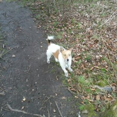 Profile Picture of Ad (@Andy6Dobo) on Twitter