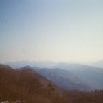 Profile Picture of Tomas (@vldimhv) on Instagram