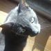 Profile Picture of Loretta Bean (@loretta.bean.77) on Facebook