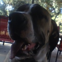 Profile Picture of Peter Camp (@peter-camp-6) on Quora