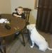 Profile Picture of Sean McMichael (@sean.mcmichael.503) on Facebook