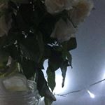 Profile Picture of Julia Muzaj (@zajmuart) on Instagram