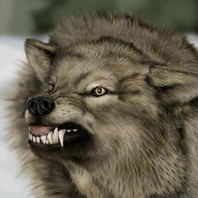 Profile Picture of James Baugh (@CanisCross) on Twitter