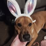 Profile Picture of Ethan Lovelace (@Ethan-Lovelace) on Facebook