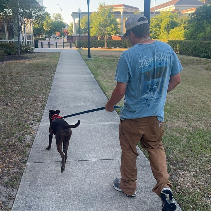 Profile Picture of Tyler Taylor (@@tyler_taylor_19) on Tiktok