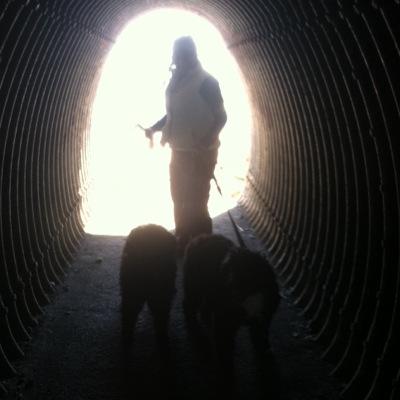 Profile Picture of Violet (@Violetkim) on Twitter