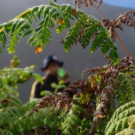 Profile Picture of kafin adkha (@cevinsan3) on Pinterest