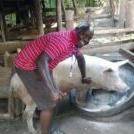 Mark Ray Wenger - Twitter Profile Picture of Mark Ray Wenger (@wenger_mark) on Twitter