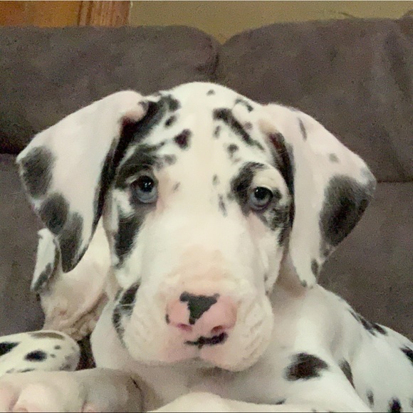 Profile Picture of Pam Hunter (@pammyyy4040) on Poshmark