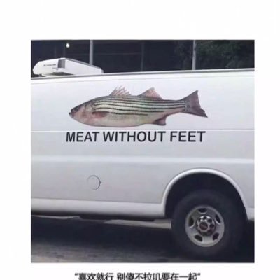 Profile Picture of Joseph Pan (@Josephpan13) on Twitter