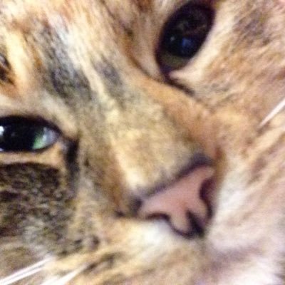 Profile Picture of Thomas Brazier (@brazier2201) on Twitter