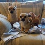 Profile Picture of jason Moorhouse (@jason_moorhouse) on Instagram