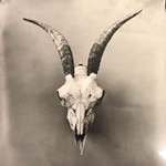 Eric Baillies - Instagram Profile Picture of Eric Baillies (@make_more_in_darkroom) on Instagram