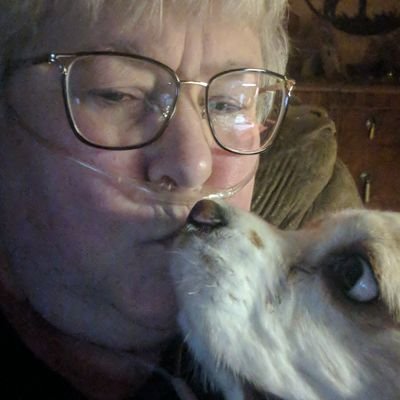 Profile Picture of Linda Weygint (@LindaWeygint) on Twitter
