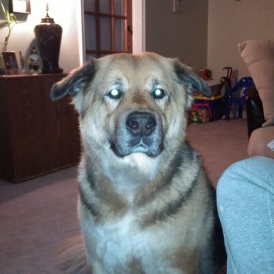 Profile Picture of Stephen/Night (@Stephen_Gamet) on Twitter