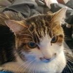 Profile Picture of Janet (@runningjanetfast) on Instagram