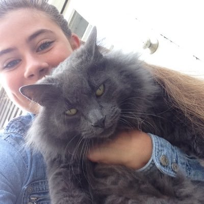 Profile Picture of JosephineFitzpatrick (@josefitz28) on Twitter