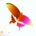 Profile Picture of Tandra Roy (@tandra.roy.90281943) on Facebook