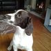 Profile Picture of Sue Appleton (@sue.appleton.54) on Facebook
